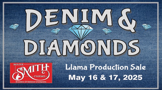 Denim and Diamonds Denim and Diamonds